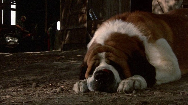 Stephen King's Cujo