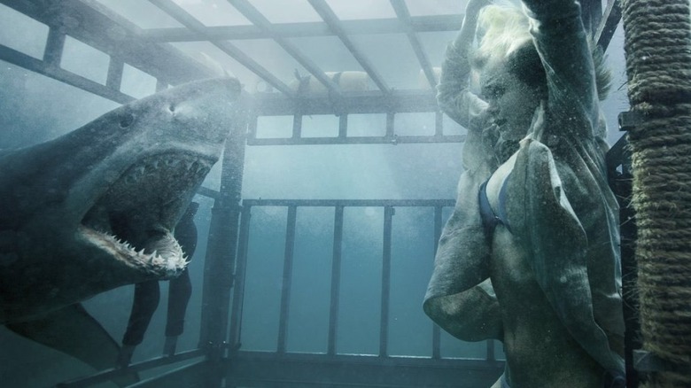 Shark attacks woman in cage