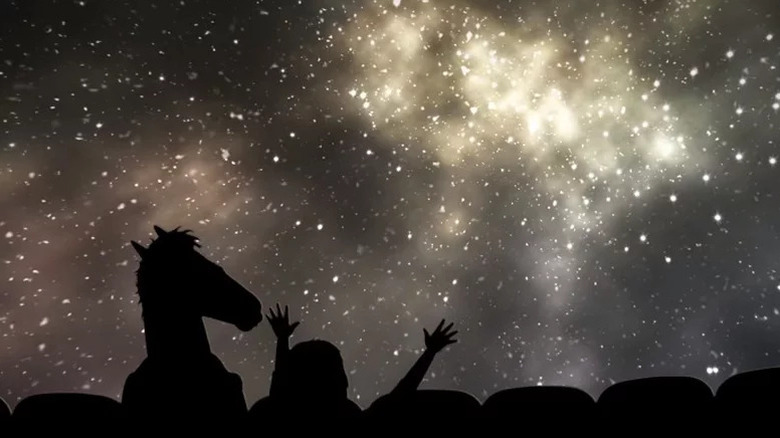 BoJack Horseman (Will Arnett) and Sarah Lynn (Kristen Schaal) marvel at the cosmos while seated in an observatory in BoJack Horseman