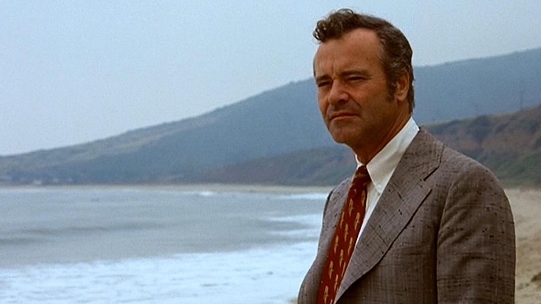 Lemmon on beach thinking