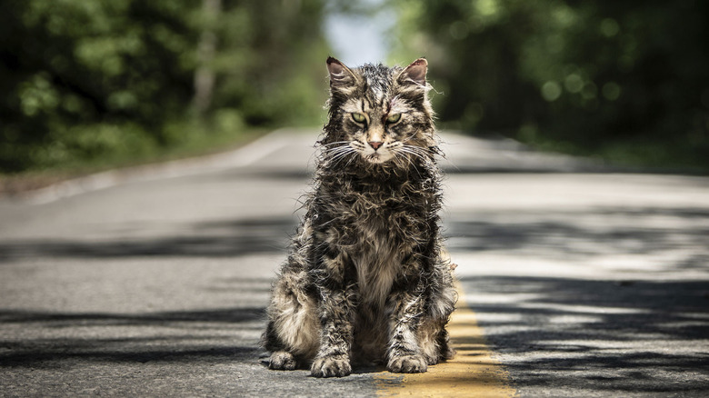 Pet Sematary