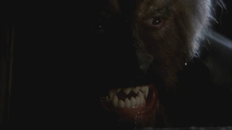 Werewolf from "Night of the Werewolf"