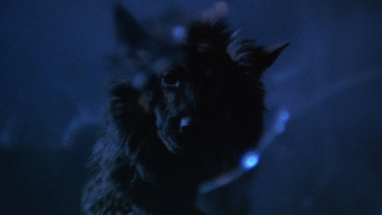 Werewolf from "The Beast Must Die"