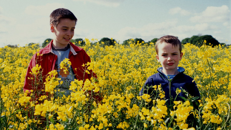 Anthony and Damian in a millions of flowers