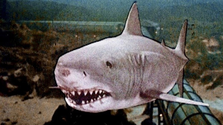The shark appears in JAWS 3-D (1983)