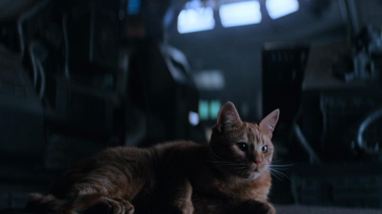 Alien 1979 Jonesy