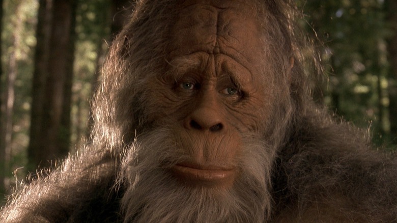 47 Bigfoot Movies Ranked
