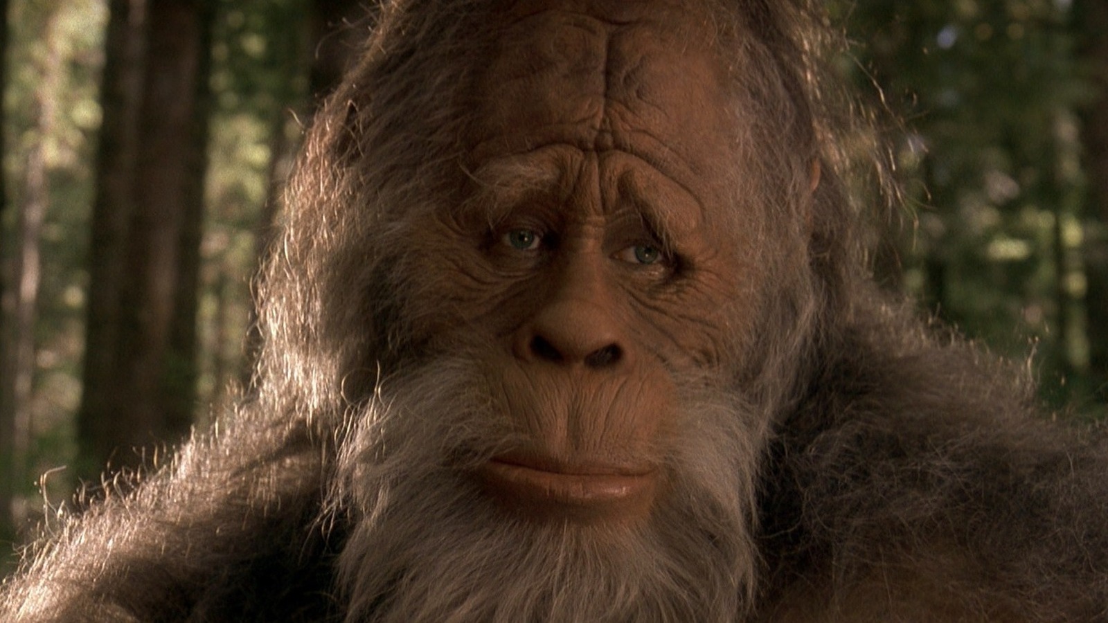 The Ultimate Bigfoot Movie Ranking: 47 Yeti, Sasquatch, And Abominable  Snowman Movies Ranked