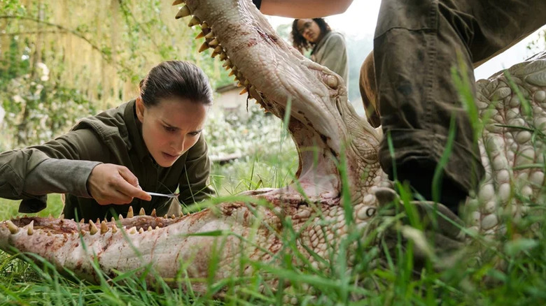 ﻿Lena poking a dead crocodile in the mouth in Annihilation