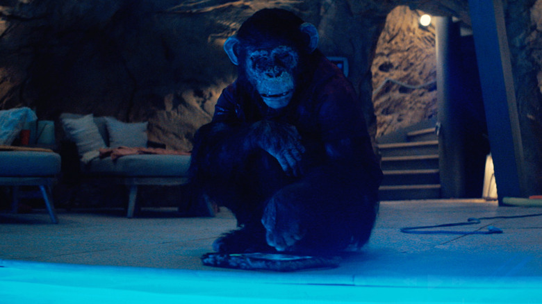 Ben sitting by a pool in Primate