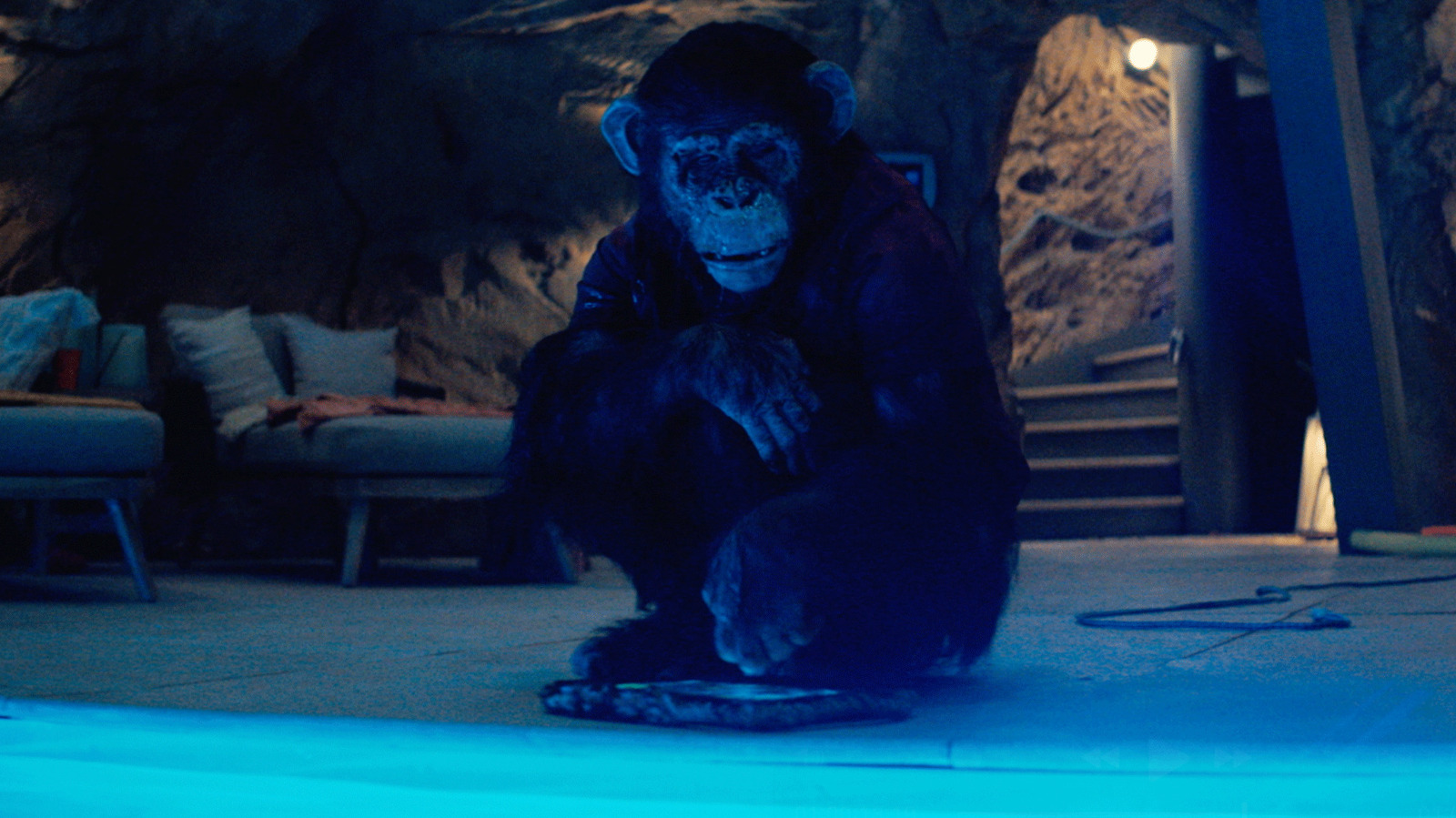 5 Best Horror Movies Like Primate