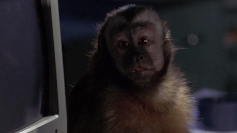 Ella the monkey in Monkey Shines