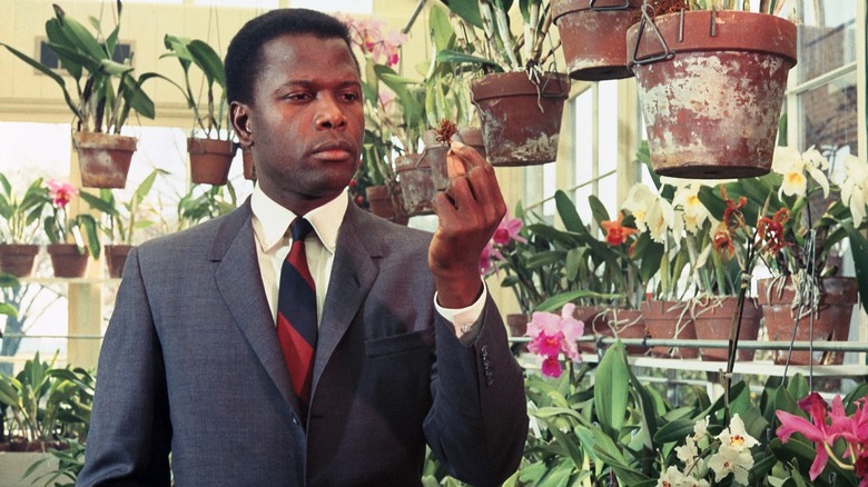Sidney Poitier in In the Heat of the Night 