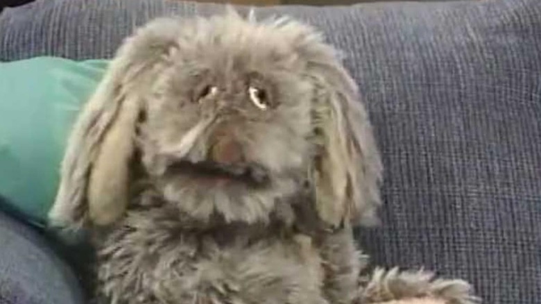 Mr. Floppy from Unhappily Ever After