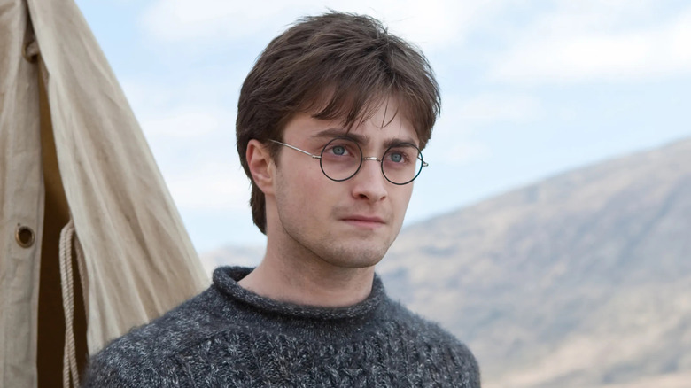 Daniel Radcliffe as Harry Potter