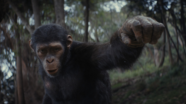 Kingdom of the Planet of the Apes Noa 