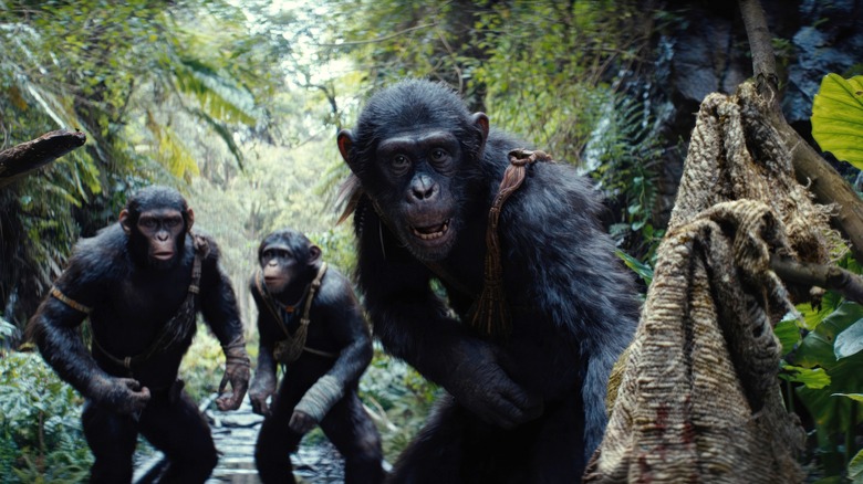 Kingdom Planet of the Apes forbidden zone scene 