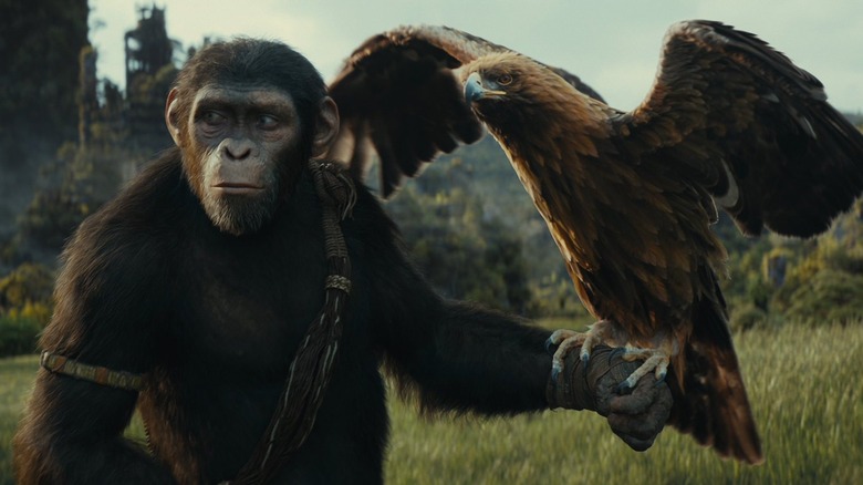 Kingdom Planet of the Apes Noa and eagle 