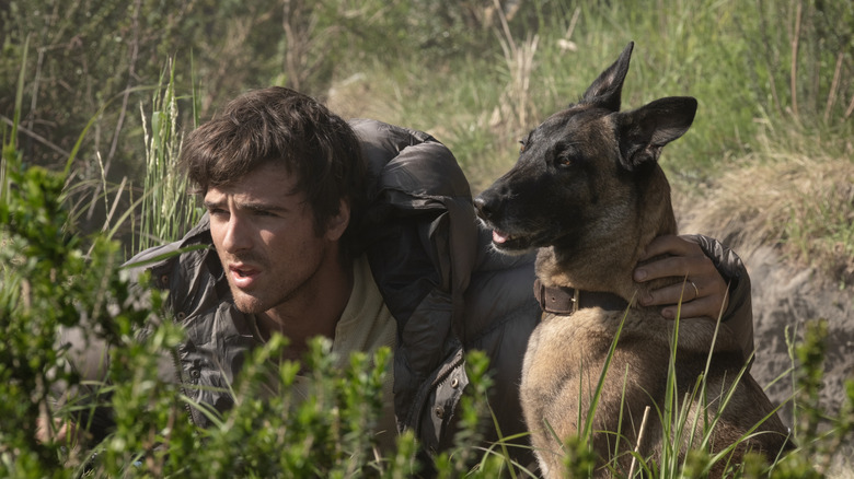 Jacob Elordi as High scratching his dog's neck while huddle in the grass in The Dog Stars