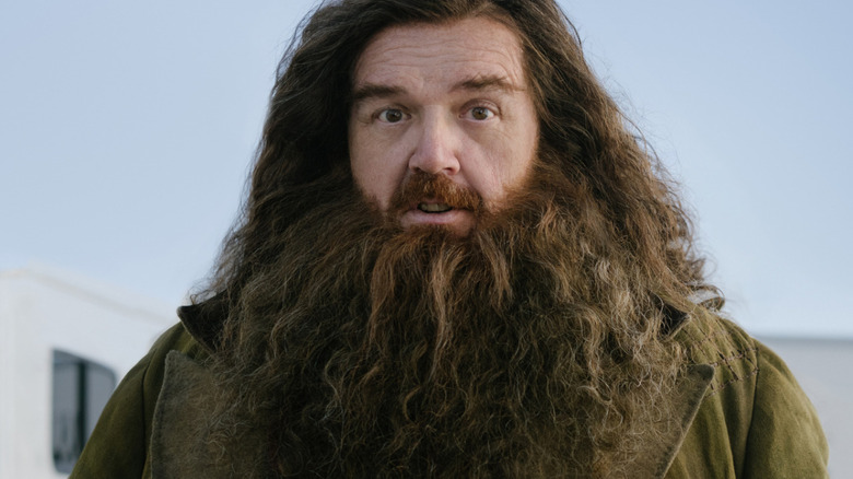 Nick Frost as Rubeus Hagrid in a promotional image for HBO's Harry Potter series