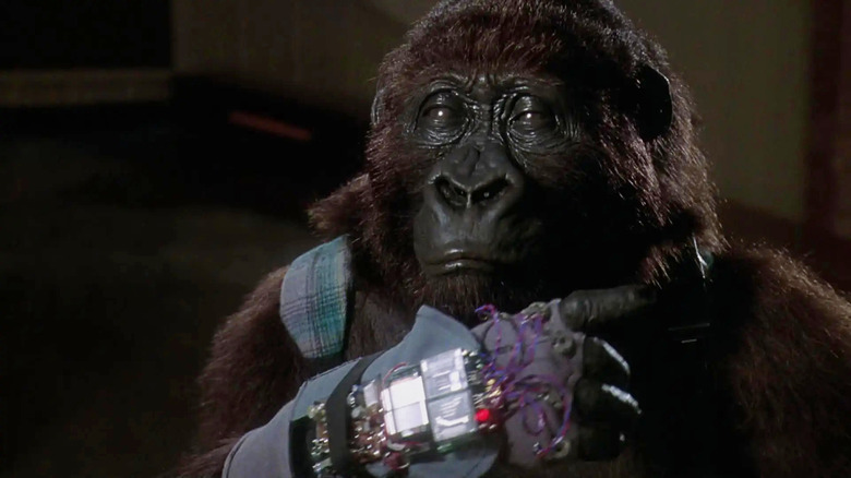 Amy with her communication glove in Congo