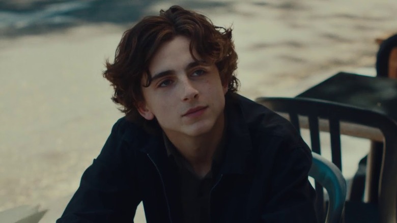 Lady Bird Timothee Chalamet