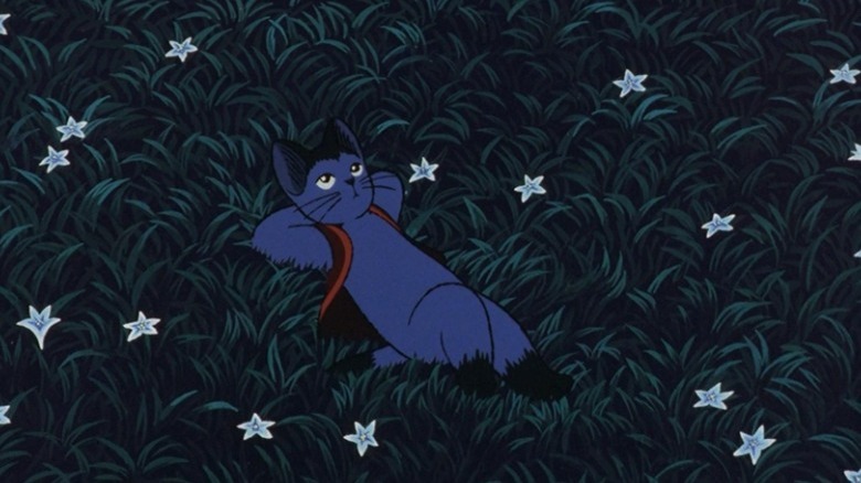 A black cat in a field at night