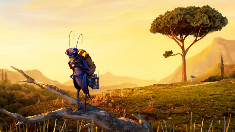 Pinocchio Cricket hiking in woods