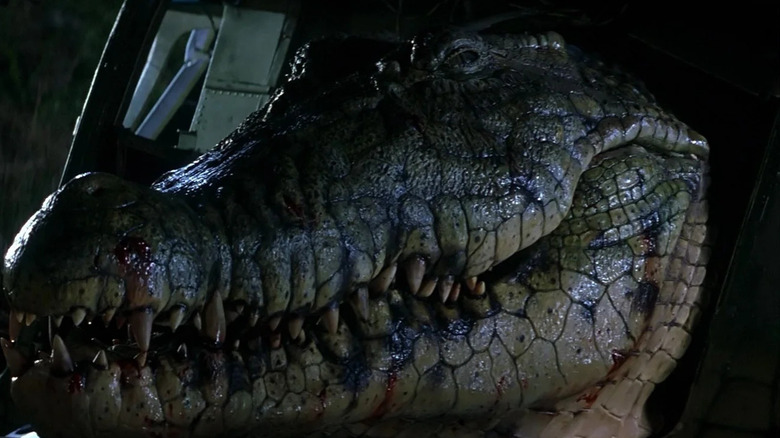 the croc, stuck in a chopper in Lake Placid