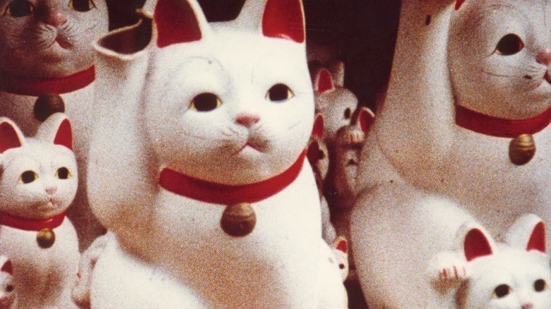 toy cats broken arm