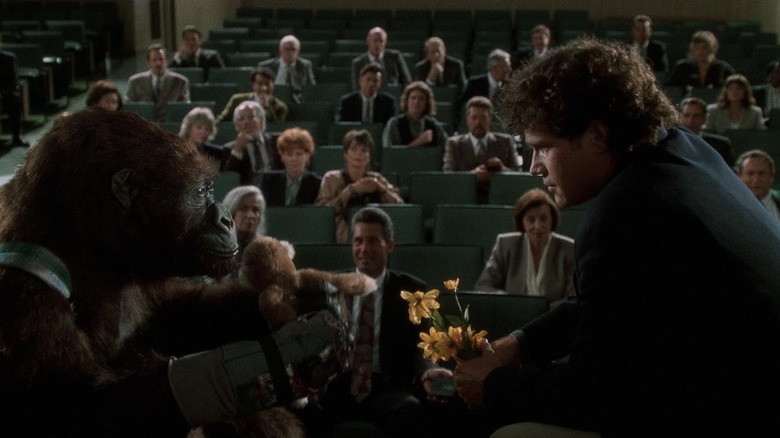 Amy and Peter sitting onstage together in Congo