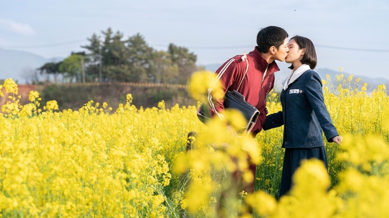 Yang Gwan-sik (Park Bo-gum) kisses Oh Ae-sun (IU) in a flowery field in When Life Gives You Tangerines