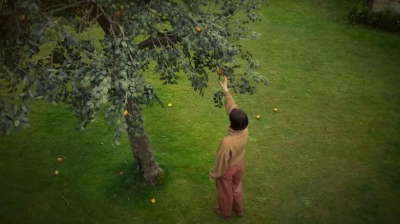 Men tree