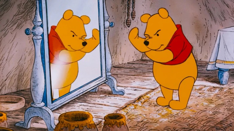 Pooh looks in mirror