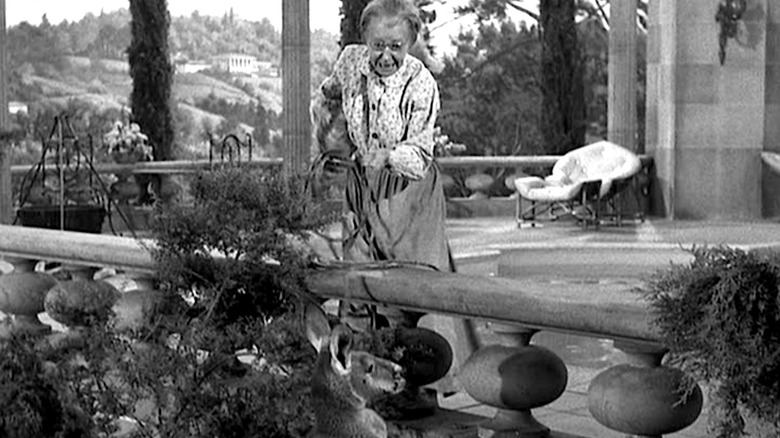 The Beverly Hillbillies 1962