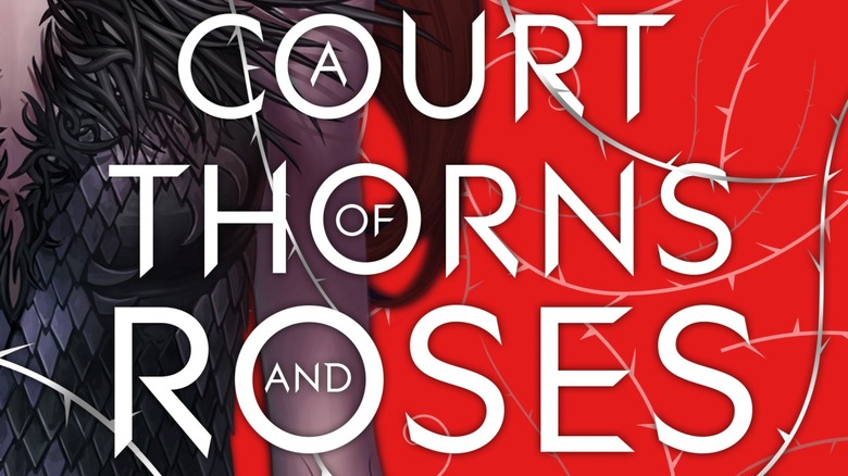 a court of thorns and roses tv series