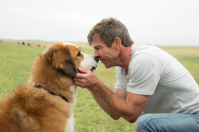 a dog's purpose sequel