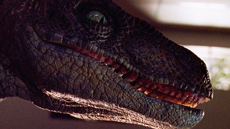 A raptor is shown in profile in Jurassic Park