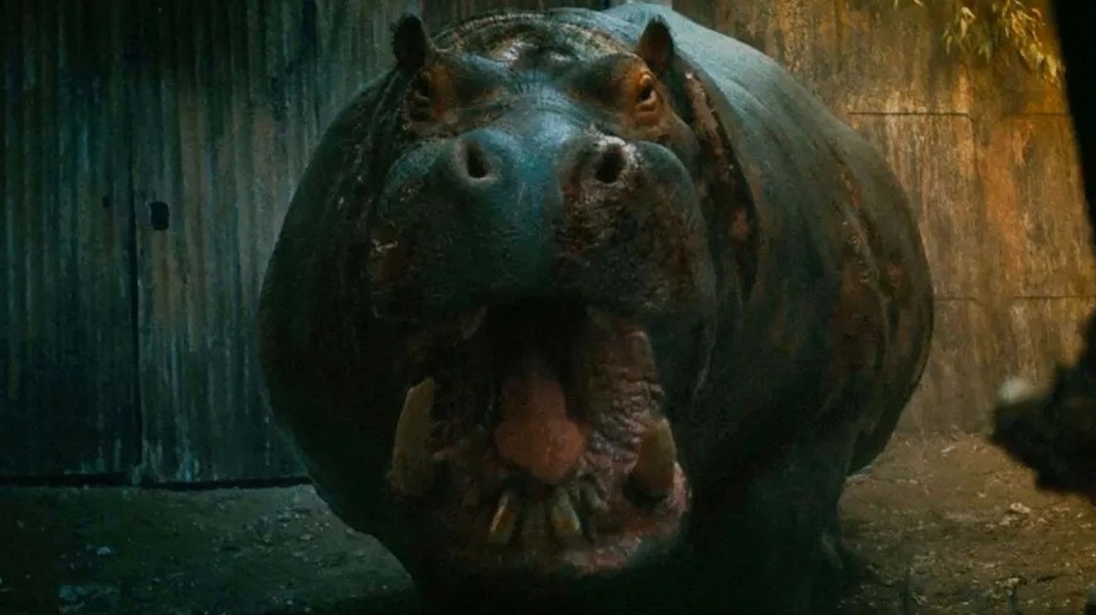 A Killer Hippo Horror Movie Is Officially Prime Video's Biggest Streaming Hit