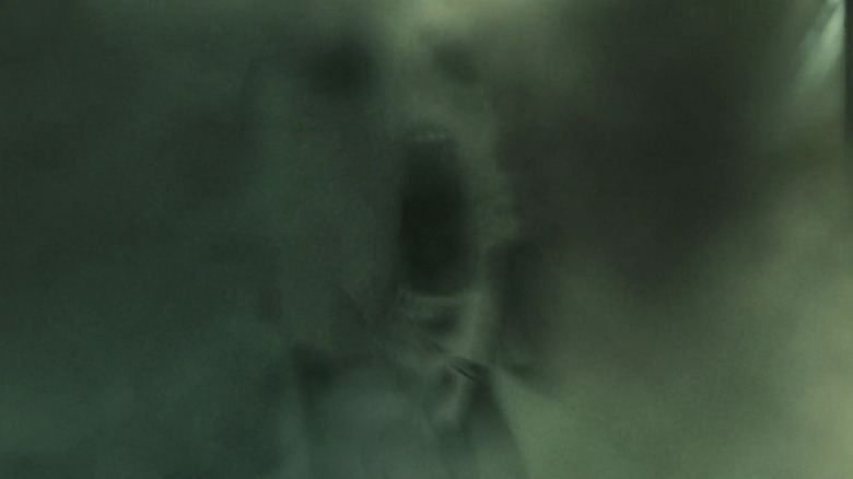 A face emerging from the fog in The Fog (2005)