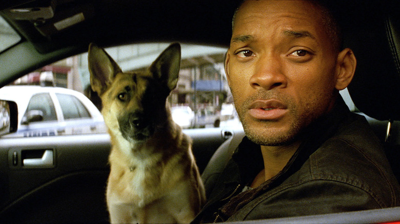 Will Smith as Dr. Robert Neville looking concerned (with his dog) in I Am Legend