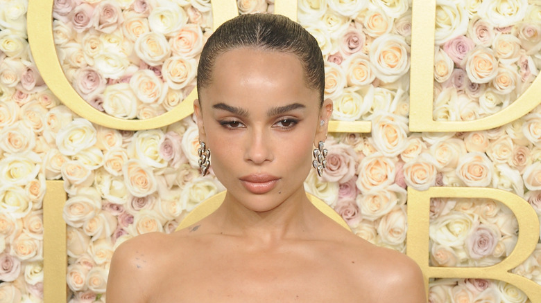 Zoe Kravitz posing