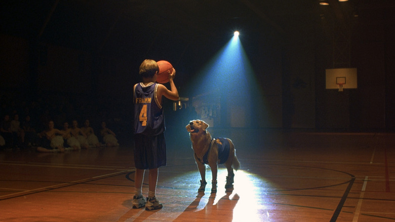Josh about to shoot a basketball while Air Bud looks up at him like a good boy in Air Bud