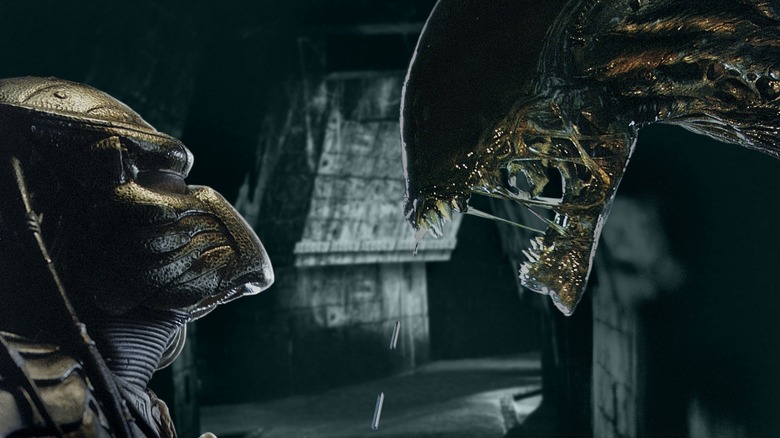 A Predator and an alien lock eyes in Alien vs. Predator
