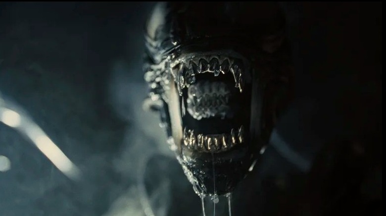 Alien: Romulus xenomorph