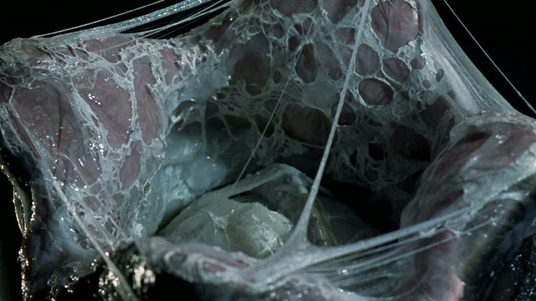 The egg
