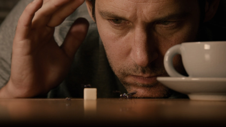Scott (Paul Rudd) practices controlling ants in Ant-Man