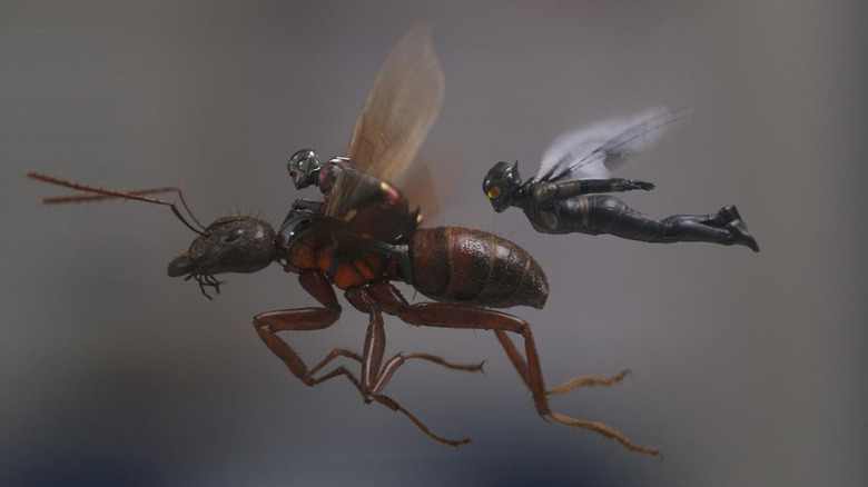 Scott (Paul Rudd) and Hope (Evangeline Lilly) fly with an ant in Ant-Man and the Wasp