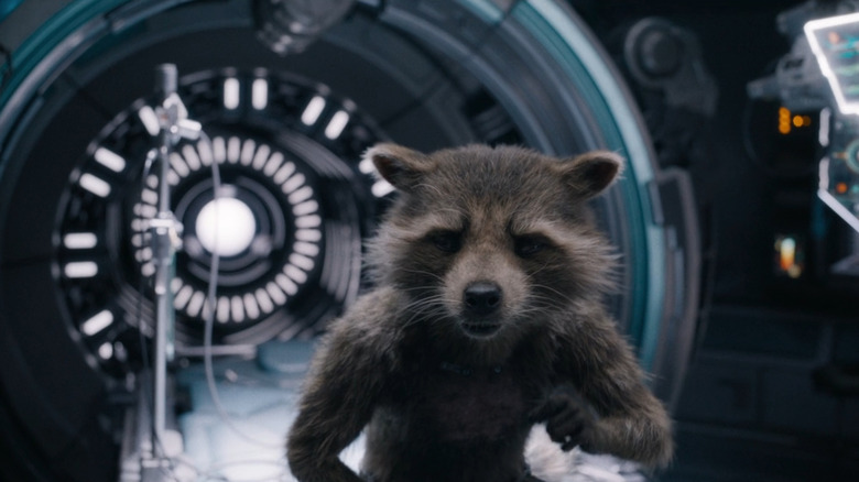 Rocket Racoon (Bradley Cooper) is revived in Guardians of the Galaxy Vol. 3