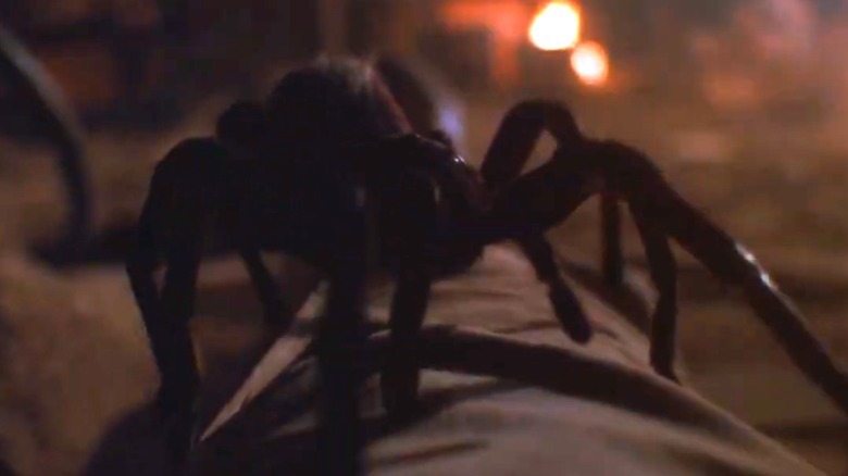 Giant spider